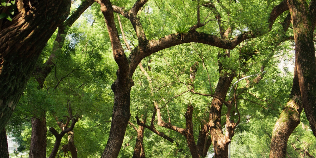 Explore Our Parks & Recreation